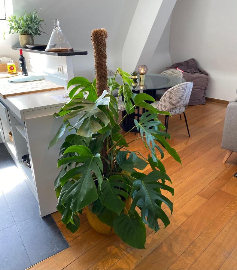 Apartamento Definitief Gesloten Ostende Exterior foto
